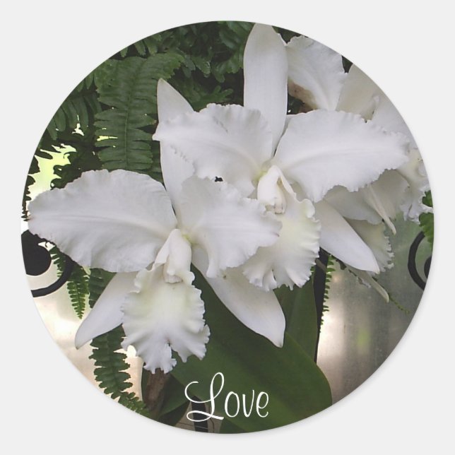 Orchids Love Sticker (Front)