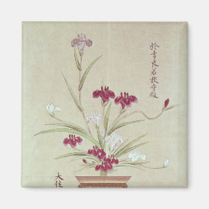Orchids Magnet