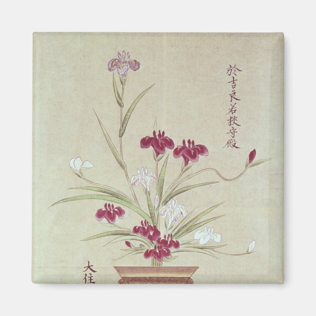 Orchids Magnet (Front)