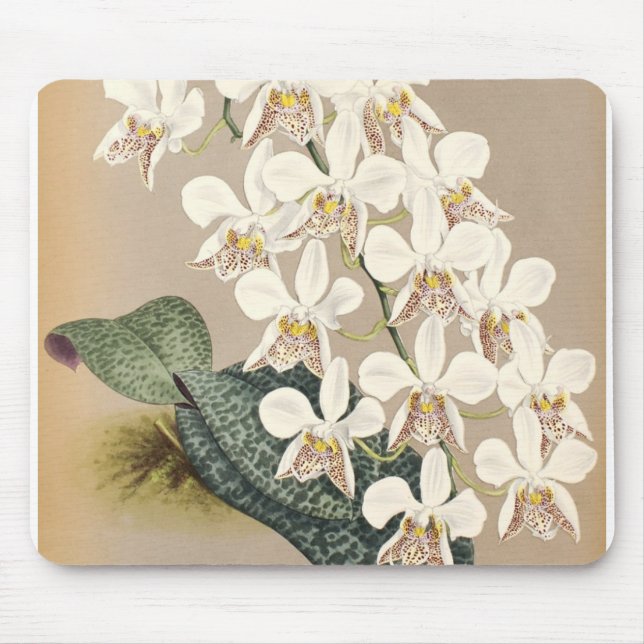 Orchids Mouse Pad (Front)