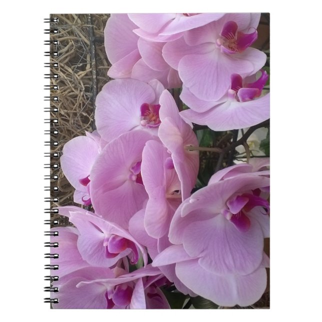 Orchids Notebook (Front)