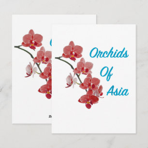 Orchids of Asia Day Spa Holiday Card