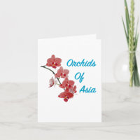 Orchids of Asia Day Spa