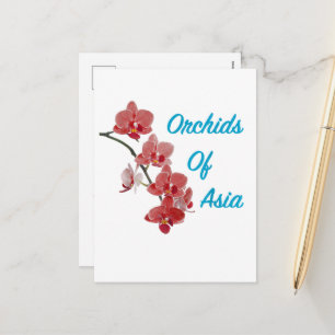 Orchids of Asia Day Spa Holiday Postcard