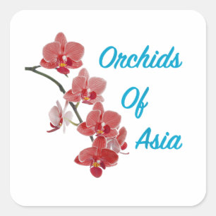 Orchids of Asia Day Spa Square Sticker