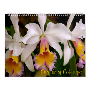 Orchids of Colombia Calendar 2013