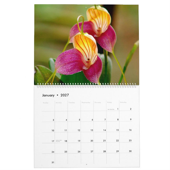 Orchids of Colombia Calendar 2014 (Jan 2027)