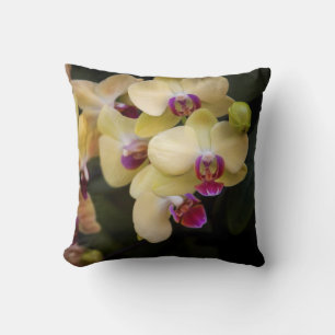 Orchids of pink and yellow cushion