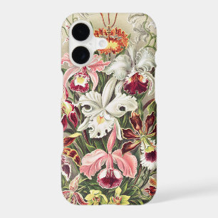 Orchids, Orchideae Denusblumen by Ernst Haeckel
