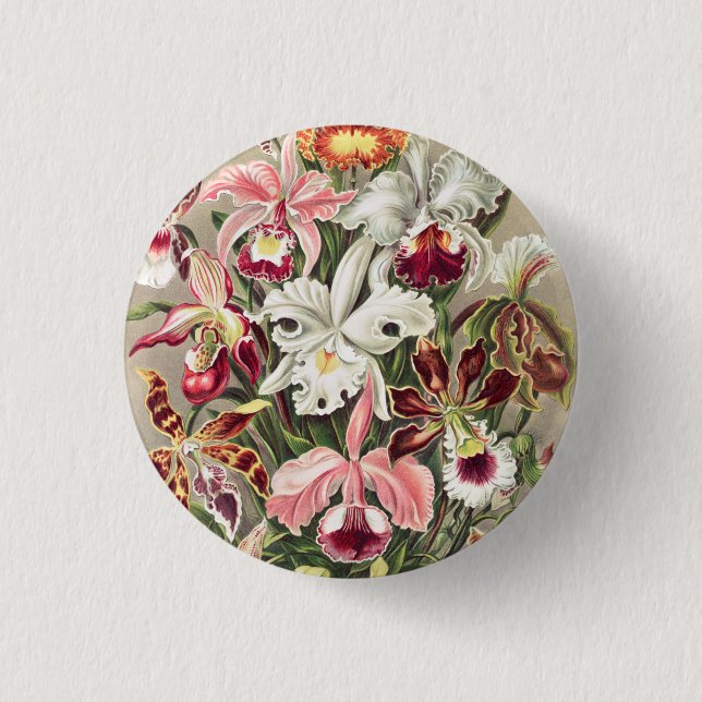 Orchids, Orchideae Denusblumen by Ernst Haeckel 3 Cm Round Badge (Front)