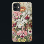 Orchids, Orchideae Denusblumen by Ernst Haeckel iPhone 11 Case<br><div class="desc">Orchids,  Orchideae Denusblumen by Ernst Haeckel Phone Case</div>