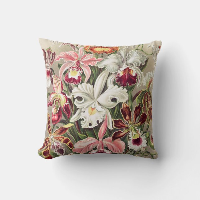 Orchids, Orchideae Denusblumen by Ernst Haeckel Cushion (Front)