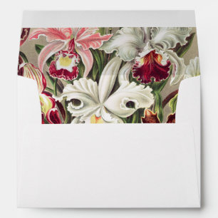 Orchids, Orchideae Denusblumen by Ernst Haeckel Envelope