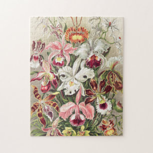 Orchids, Orchideae Denusblumen by Ernst Haeckel Jigsaw Puzzle