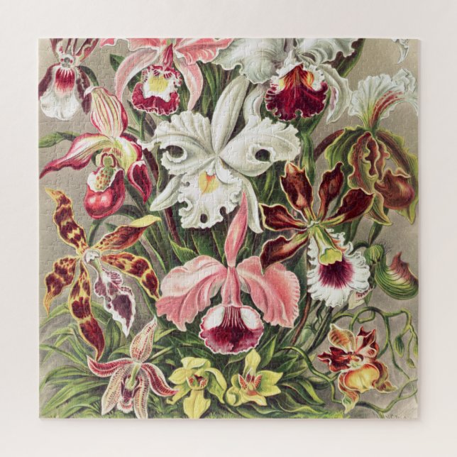 Orchids, Orchideae Denusblumen by Ernst Haeckel Jigsaw Puzzle (Vertical)