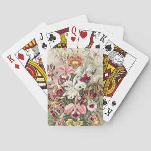 Orchids, Orchideae Denusblumen by Ernst Haeckel Playing Cards