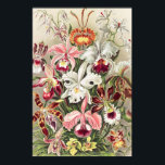 Orchids, Orchideae Denusblumen by Ernst Haeckel Poster<br><div class="desc">Orchids,  Orchideae Denusblumen by Ernst Haeckel Poster</div>