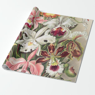 Orchids, Orchideae Denusblumen by Ernst Haeckel Wrapping Paper