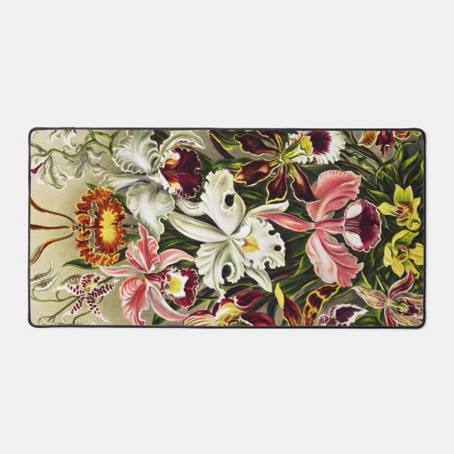 Orchids, Orchideae Denusblumen Ernst Haeckel  Desk Mat (Front)