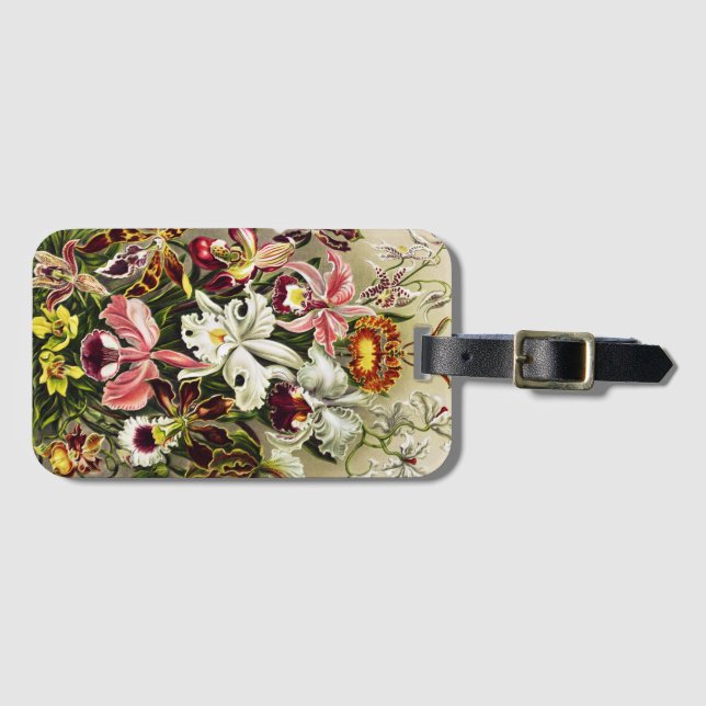 Orchids, Orchideae Denusblumen Ernst Haeckel Luggage Tag (Front Horizontal)