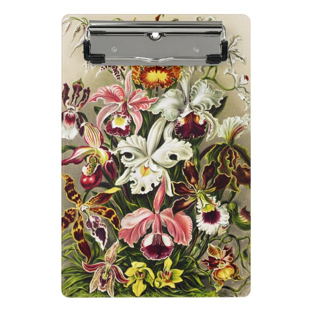 Orchids, Orchideae Denusblumen Ernst Haeckel Mini Clipboard (Front)