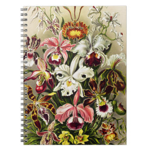Orchids, Orchideae Denusblumen Ernst Haeckel Notebook