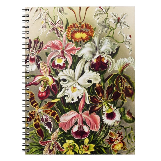 Orchids, Orchideae Denusblumen Ernst Haeckel Notebook (Front)