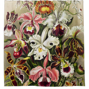 Orchids, Orchideae Denusblumen Ernst Haeckel  Shower Curtain