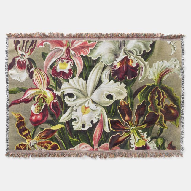 Orchids, Orchideae Denusblumen Ernst Haeckel  Throw Blanket (Front)