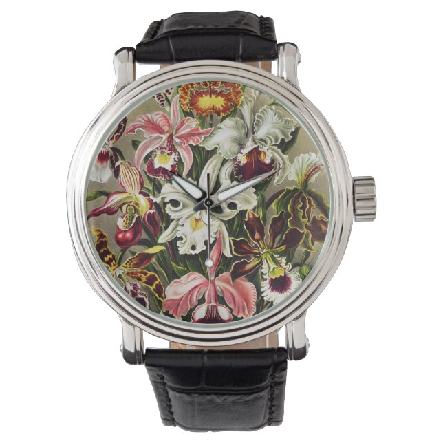 Orchids, Orchideae Denusblumen Ernst Haeckel Watch (Front)