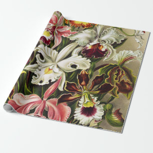 Orchids, Orchideae Denusblumen Ernst Haeckel  Wrapping Paper