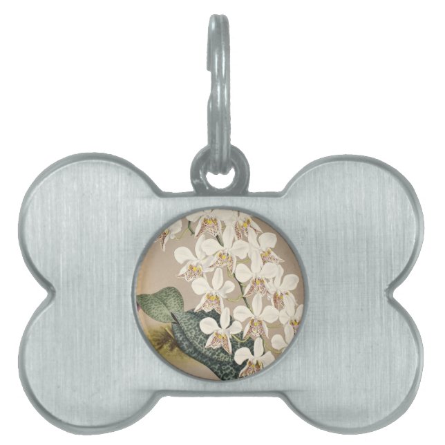 Orchids Pet Tag (Front)