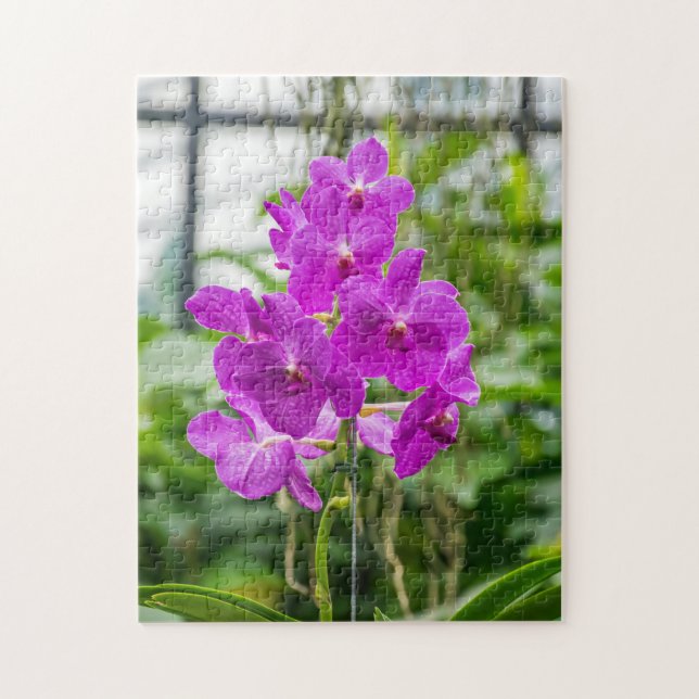 Orchids photo puzzle (Vertical)
