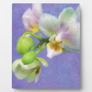 Orchids Plaque