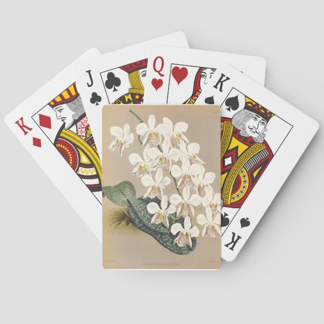 Orchids Playing Cards (Back)