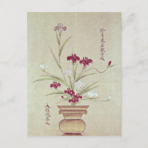 Orchids Postcard
