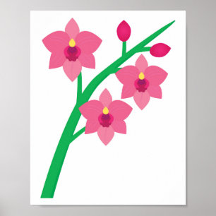 Orchids Poster