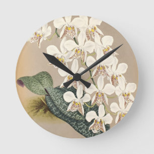 Orchids Round Clock