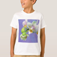 Orchids