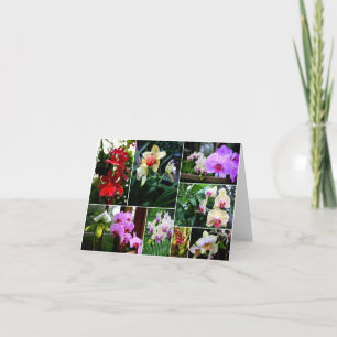 Orchids Thank You Card