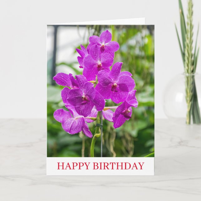 Orchids up close birthday card (Front)