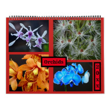 Orchids Wall Calendar