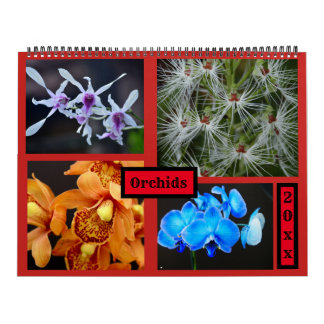 Orchids Wall Calendar