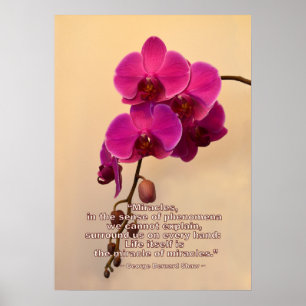 Orchids with Miracle Quote Poster