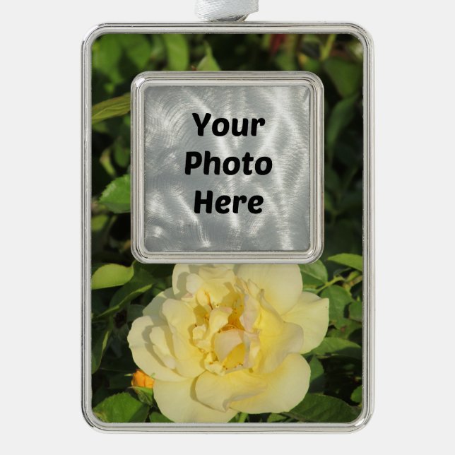 Oregold Yellow Rose Silver Plated Framed Ornament (Front)