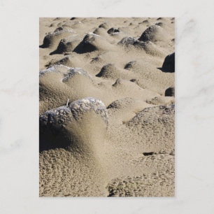 Oregon Beach Postcard