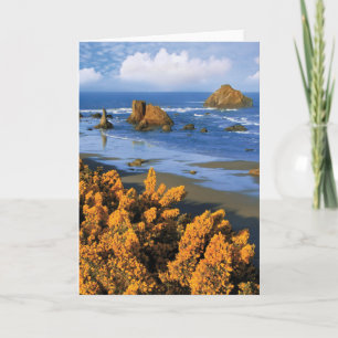 Oregon Beach View In Bandon Card