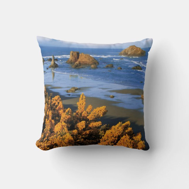 Oregon Beach View In Bandon Cushion (Front)