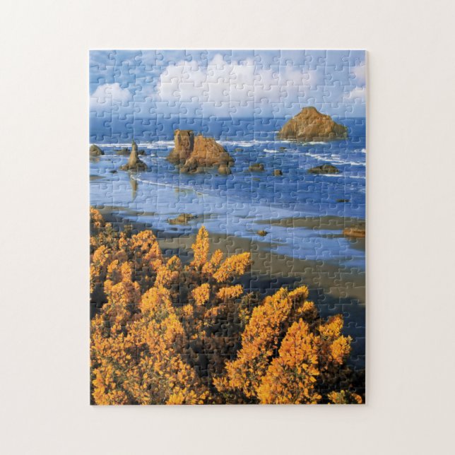 Oregon Beach View In Bandon Jigsaw Puzzle (Vertical)