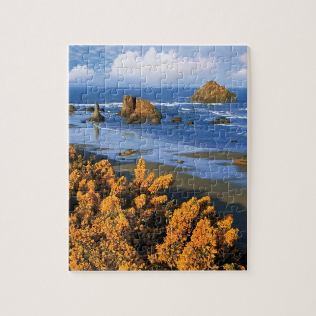 Oregon Beach View In Bandon Jigsaw Puzzle (Vertical)